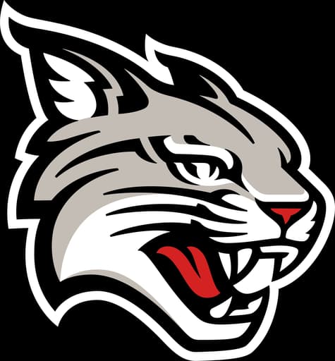 Davidson Wildcats logo